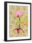 Water Lily Reflection-Scott J. Davis-Framed Giclee Print