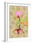 Water Lily Reflection-Scott J. Davis-Framed Giclee Print