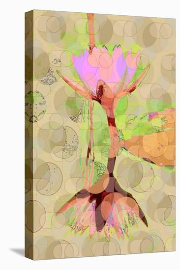 Water Lily Reflection-Scott J. Davis-Stretched Canvas