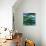 Water Lily Somnolence, 2010-Patricia Brintle-Giclee Print displayed on a wall