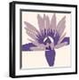 Water-Lily-Emily Burrowes-Framed Art Print