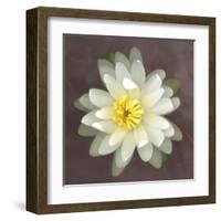 Water Lily-Erin Clark-Framed Art Print