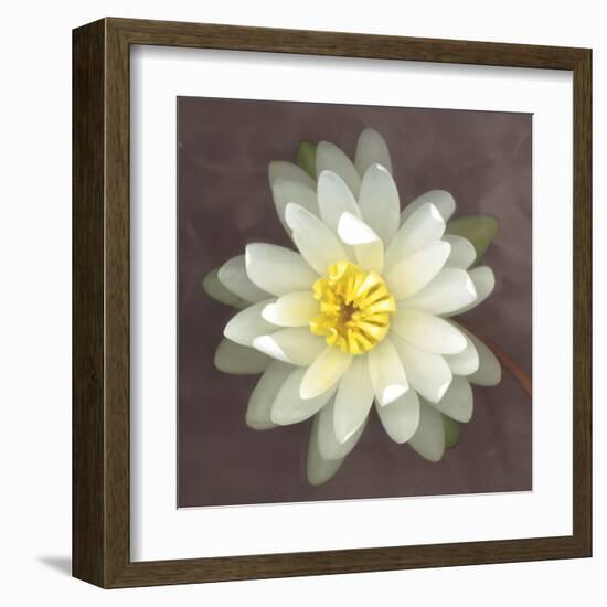 Water Lily-Erin Clark-Framed Art Print