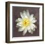 Water Lily-Erin Clark-Framed Art Print