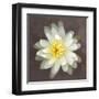 Water Lily-Erin Clark-Framed Art Print