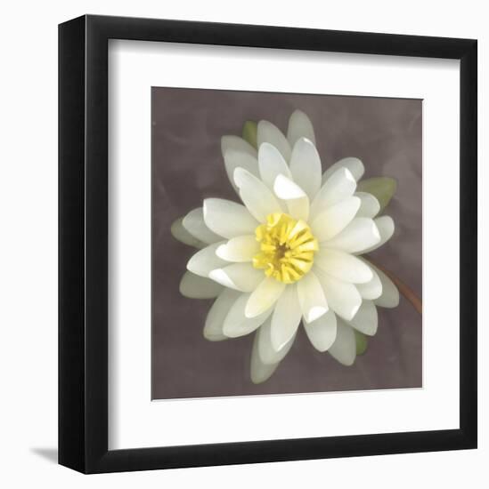 Water Lily-Erin Clark-Framed Art Print