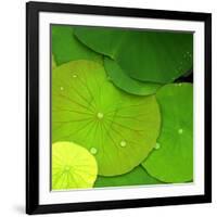 Water Lily-null-Framed Photographic Print