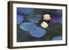 Water Lily-null-Framed Giclee Print