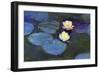 Water Lily-null-Framed Giclee Print