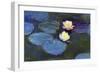 Water Lily-null-Framed Giclee Print