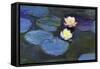 Water Lily-null-Framed Stretched Canvas