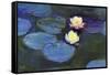 Water Lily-null-Framed Stretched Canvas