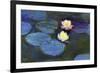 Water Lily-null-Framed Giclee Print