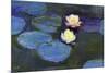 Water Lily-null-Mounted Giclee Print