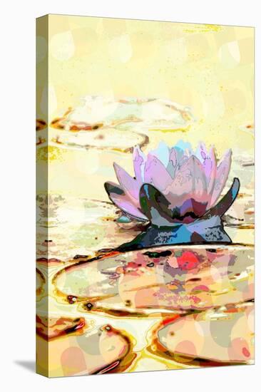Water Lily-Scott J. Davis-Stretched Canvas