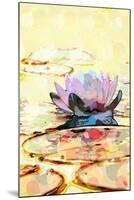 Water Lily-Scott J. Davis-Mounted Giclee Print