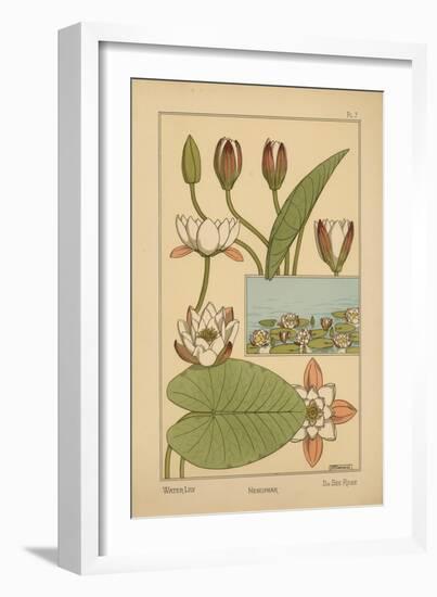 Water-Lily-null-Framed Giclee Print