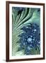 Water Lily-Fractalicious-Framed Giclee Print