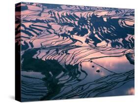 Water-logged Rice Terraces at Sunset, Yunnan Province, China-Keren Su-Stretched Canvas