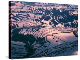 Water-logged Rice Terraces at Sunset, Yunnan Province, China-Keren Su-Stretched Canvas