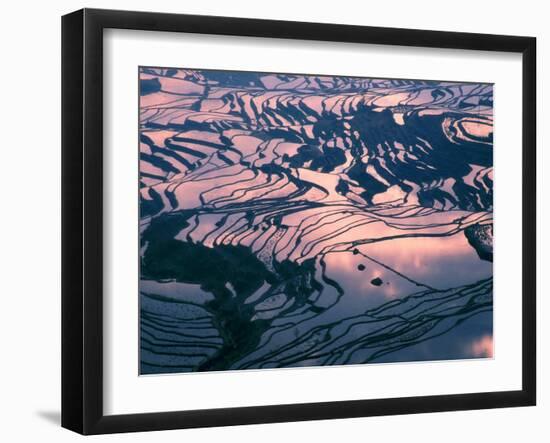 Water-logged Rice Terraces at Sunset, Yunnan Province, China-Keren Su-Framed Premium Photographic Print