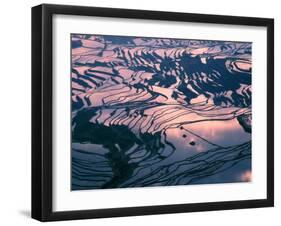 Water-logged Rice Terraces at Sunset, Yunnan Province, China-Keren Su-Framed Premium Photographic Print