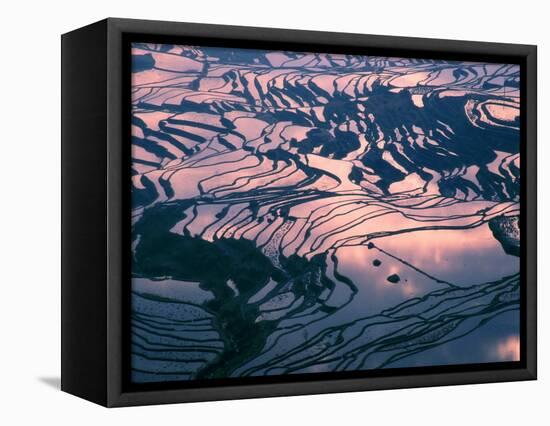Water-logged Rice Terraces at Sunset, Yunnan Province, China-Keren Su-Framed Stretched Canvas