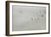 Water Margins-Adrian Campfield-Framed Giclee Print