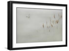 Water Margins-Adrian Campfield-Framed Giclee Print