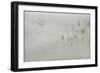 Water Margins-Adrian Campfield-Framed Giclee Print