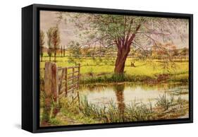 Water Meadow, 1865-William Bell Scott-Framed Stretched Canvas