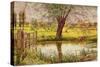 Water Meadow, 1865-William Bell Scott-Stretched Canvas