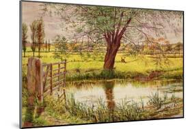 Water Meadow, 1865-William Bell Scott-Mounted Giclee Print