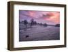 Water meadows along Sherborne Brook, UK-Nick Turner-Framed Photographic Print