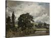 Water Meadows Near Salisbury, 19th Century-John Constable-Stretched Canvas