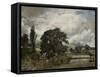 Water Meadows Near Salisbury, 19th Century-John Constable-Framed Stretched Canvas