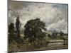 Water Meadows Near Salisbury, 19th Century-John Constable-Mounted Giclee Print