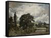 Water Meadows Near Salisbury, 19th Century-John Constable-Framed Stretched Canvas