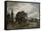 Water Meadows Near Salisbury, 19th Century-John Constable-Framed Stretched Canvas