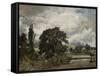 Water Meadows Near Salisbury, 19th Century-John Constable-Framed Stretched Canvas