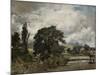 Water Meadows Near Salisbury, 19th Century-John Constable-Mounted Giclee Print