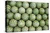 Water Melons for Sale in India-null-Stretched Canvas