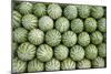 Water Melons for Sale in India-null-Mounted Photographic Print
