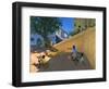 Water Melons, Hamu, Kenya, 1995-Andrew Macara-Framed Giclee Print