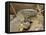 Water Monitor, Kruger National Park, South Africa, Africa-James Hager-Framed Stretched Canvas