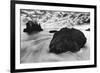 Water Movements, Malibu, California-null-Framed Art Print