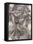 Water Oak Leaves-Kathryn Phillips-Framed Stretched Canvas