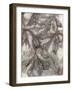 Water Oak Leaves-Kathryn Phillips-Framed Art Print
