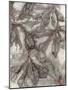 Water Oak Leaves-Kathryn Phillips-Mounted Art Print
