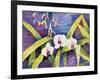 Water Orchids-Mary Russel-Framed Giclee Print